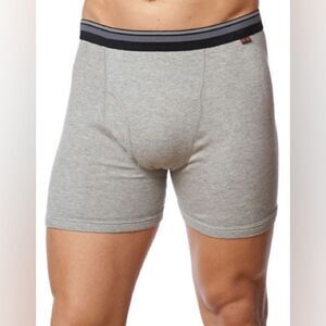 Paul Gray Big and Tall Two-Pack Regular Rise Boxer Briefs-GREY HEATHER-2X